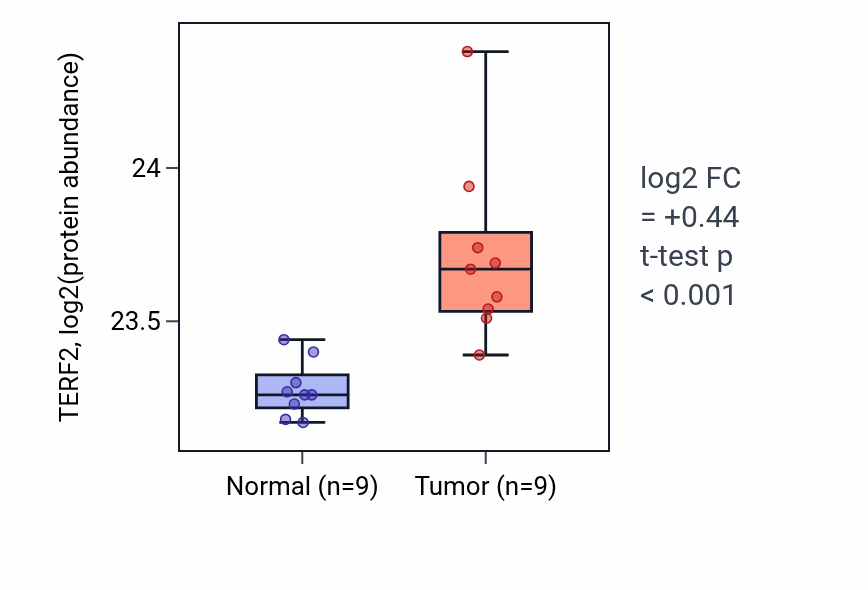 Tumor-vs-normal mass-spec protein box plot for TERF2 in LSCC.