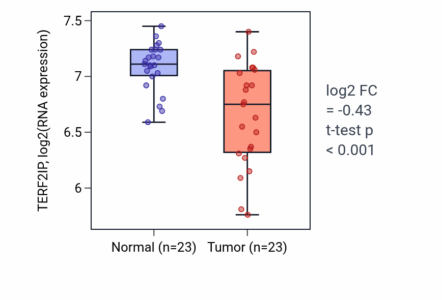 Tumor-vs-normal expression box plot for TERF2IP RNA in THCA.