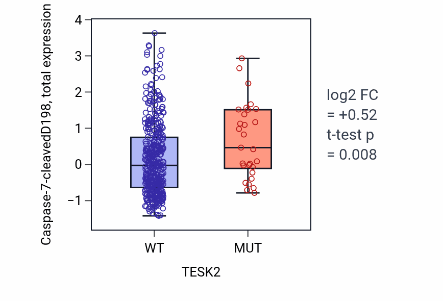 Box plot of Caspase-7-cleavedD198 in TESK2-low vs TESK2-high samples in UCEC.