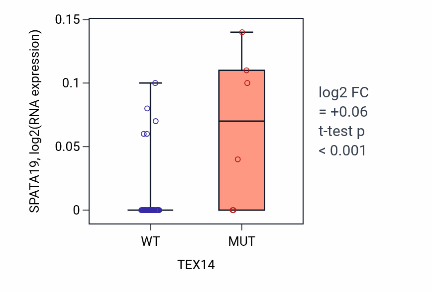 Box plot of SPATA19 in TEX14-low vs TEX14-high samples in LUNG_SCLC.