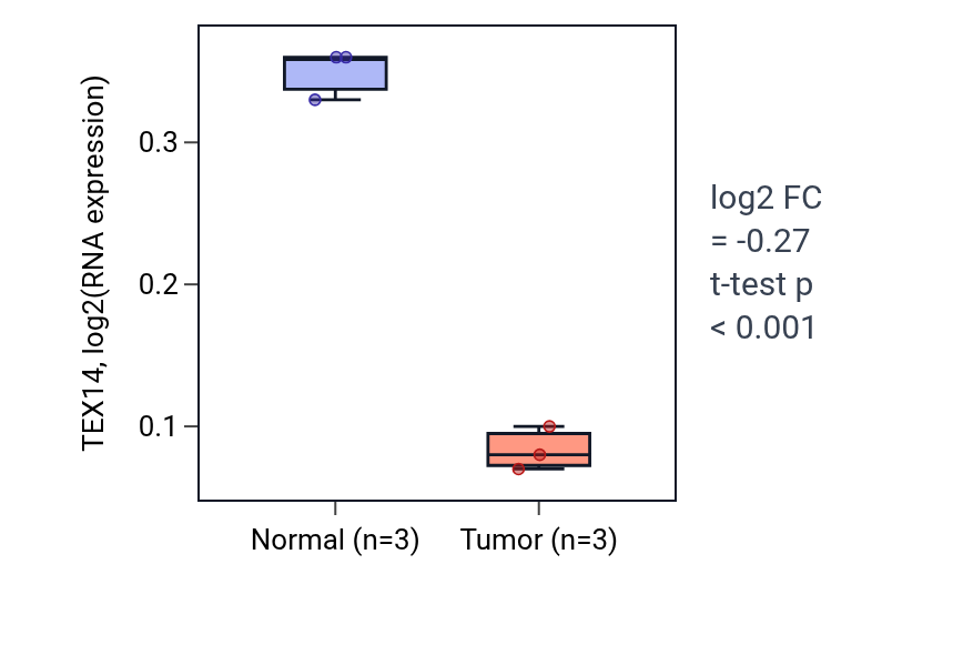 Tumor-vs-normal expression box plot for TEX14 in THCA.