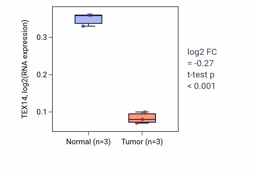 Tumor-vs-normal expression box plot for TEX14 RNA in THCA.