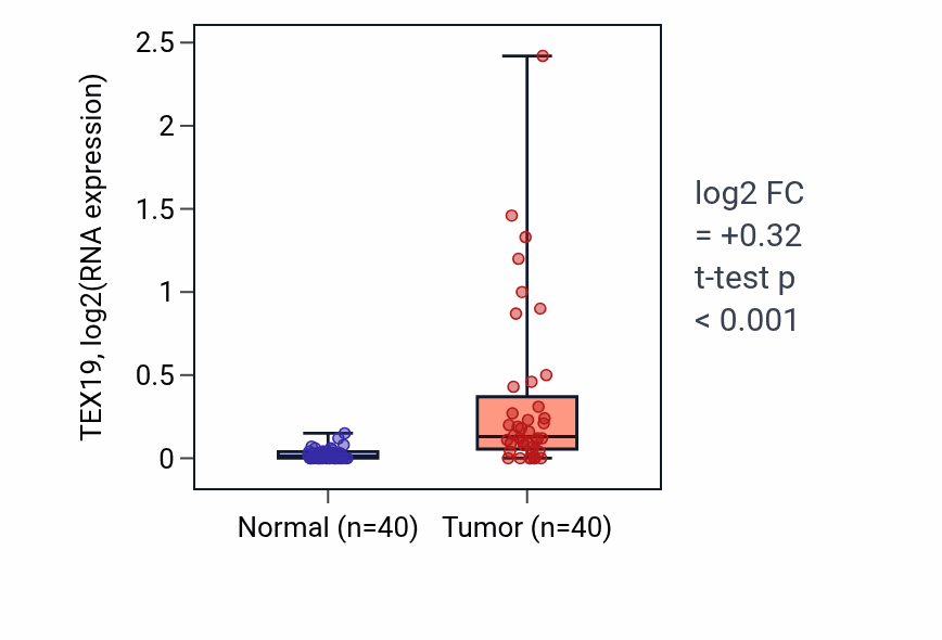 Tumor-vs-normal expression box plot for TEX19 in HNSC.