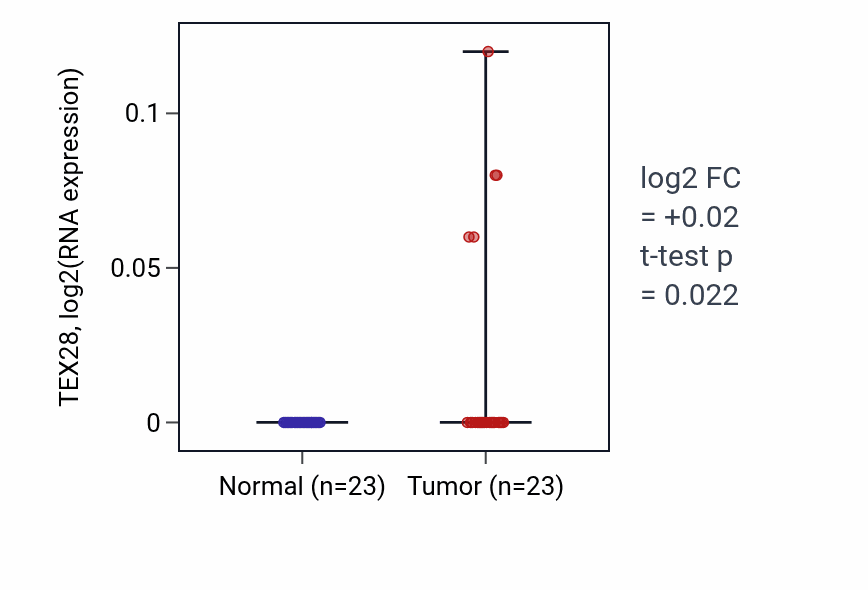 Tumor-vs-normal expression box plot for TEX28 in UCEC.