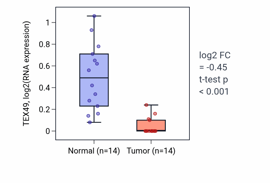 Tumor-vs-normal expression box plot for TEX49 in LUSC.