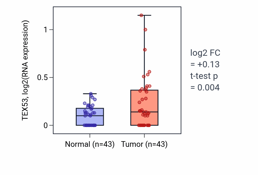 Tumor-vs-normal expression box plot for TEX53 in HNSC.