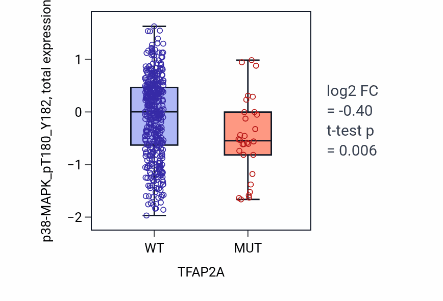 Box plot of p38-MAPK_pT180_Y182 in TFAP2A-low vs TFAP2A-high samples in UCEC.