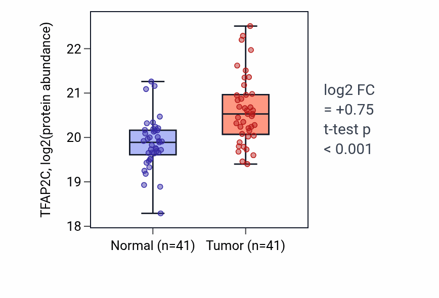 Tumor-vs-normal mass-spec protein box plot for TFAP2C in LSCC.