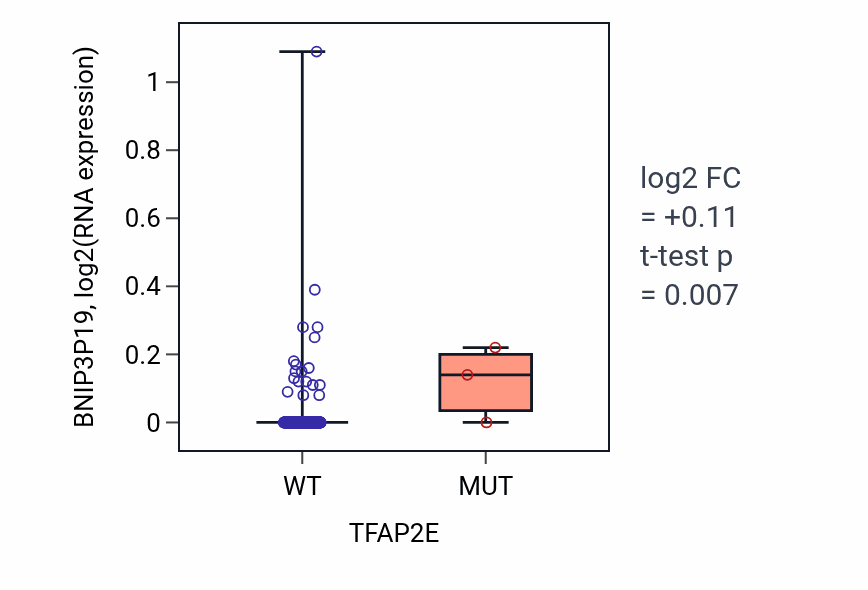 Box plot of BNIP3P19 in TFAP2E-low vs TFAP2E-high samples in LIHC.