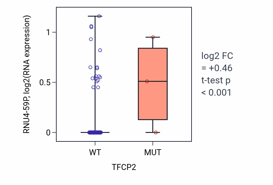 Box plot of RNU4-59P in TFCP2-low vs TFCP2-high samples in HNSC.