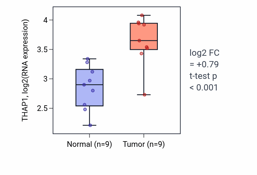 Tumor-vs-normal expression box plot for THAP1 RNA in HNSC.