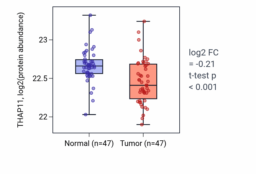 Tumor-vs-normal mass-spec protein box plot for THAP11 in LUAD.