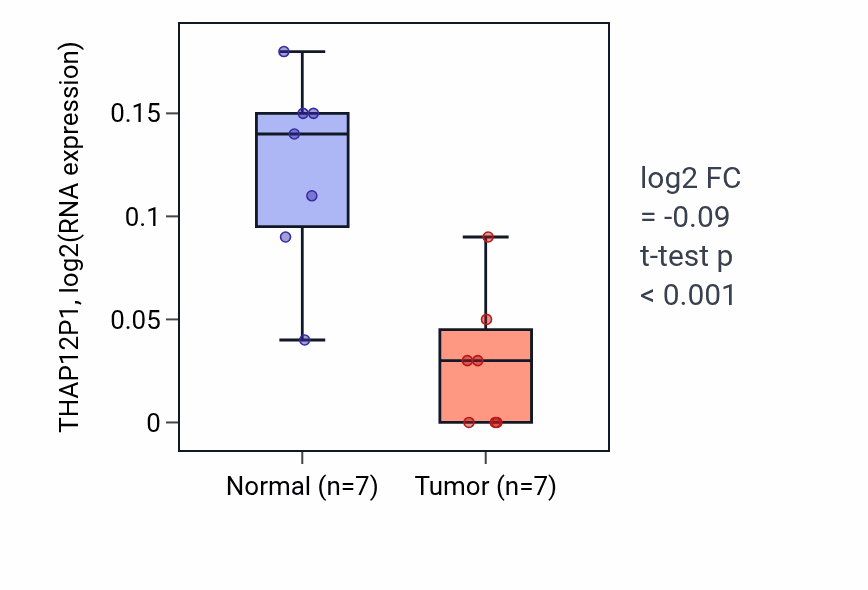Tumor-vs-normal expression box plot for THAP12P1 in THCA.