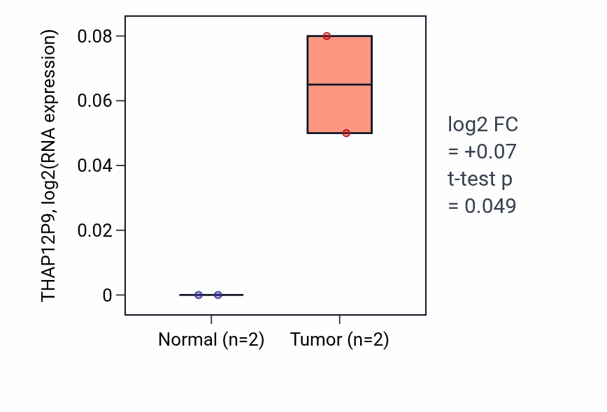 Tumor-vs-normal expression box plot for THAP12P9 in UCEC.