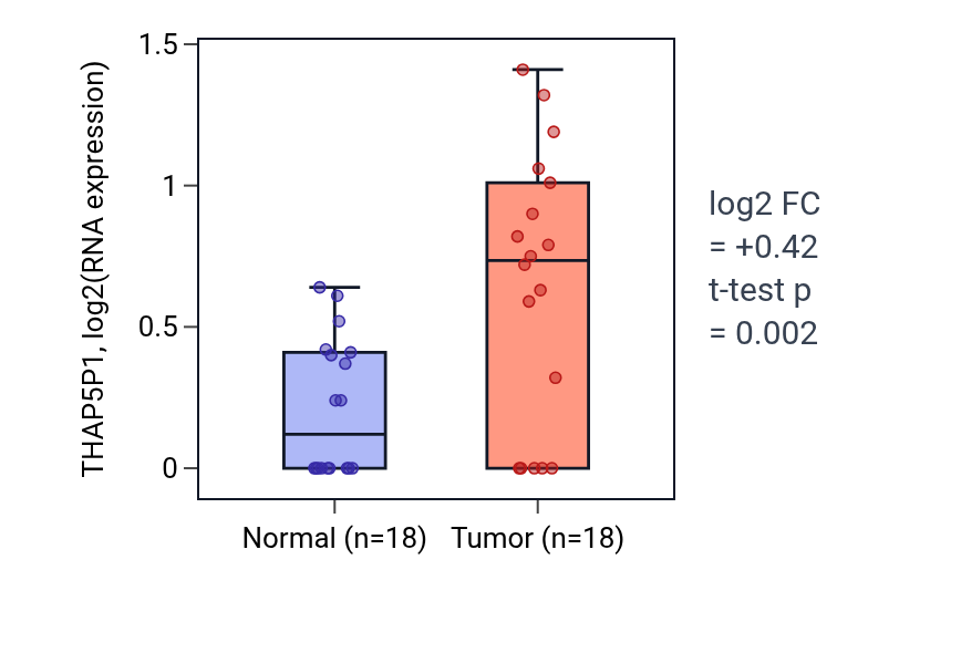Tumor-vs-normal expression box plot for THAP5P1 in BLCA.
