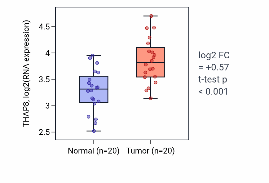 Tumor-vs-normal expression box plot for THAP8 RNA in KIRC.