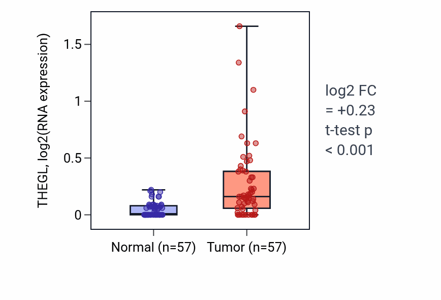 Tumor-vs-normal expression box plot for THEGL in LUAD.