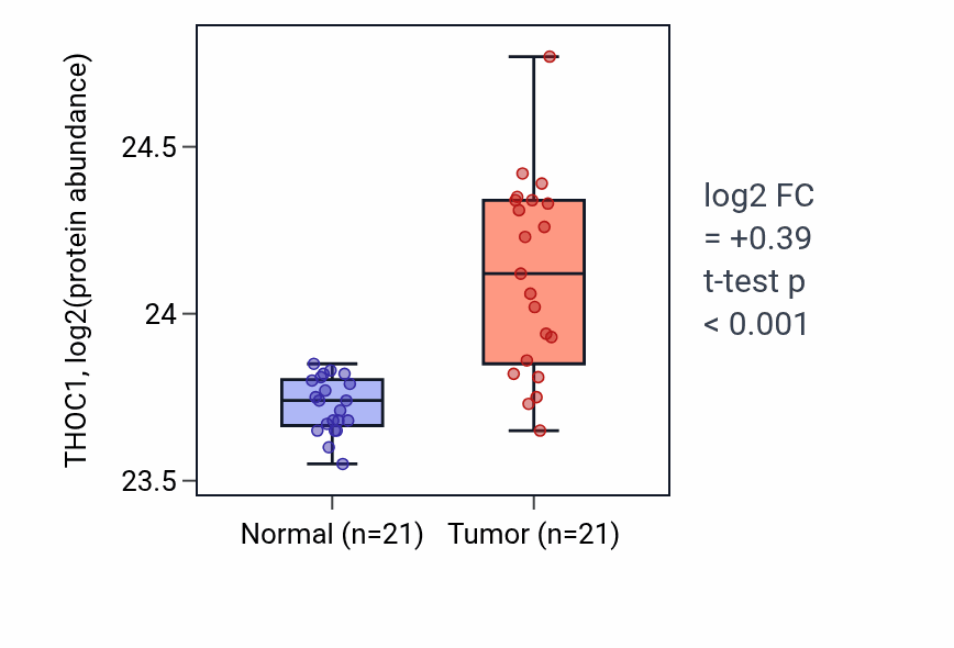 Tumor-vs-normal mass-spec protein box plot for THOC1 in HNSC.