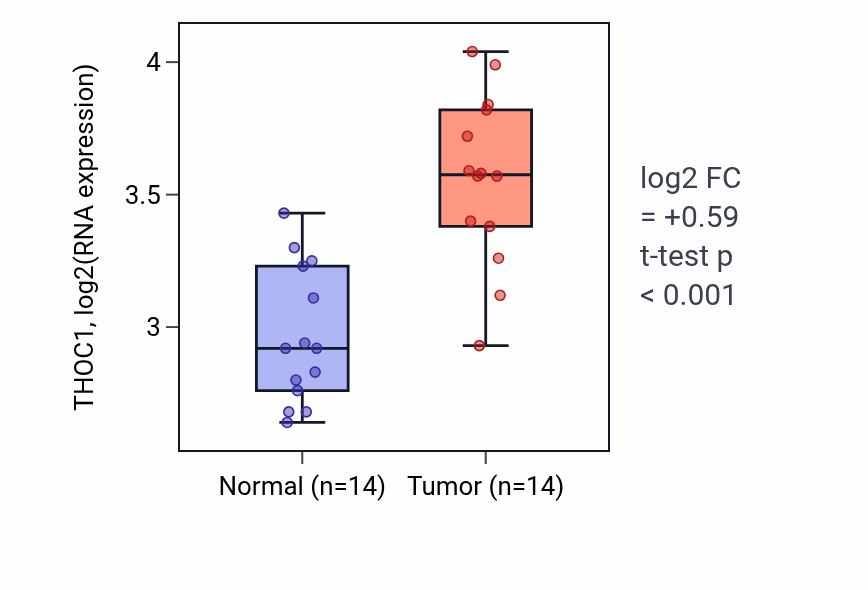 Tumor-vs-normal expression box plot for THOC1 RNA in BLCA.