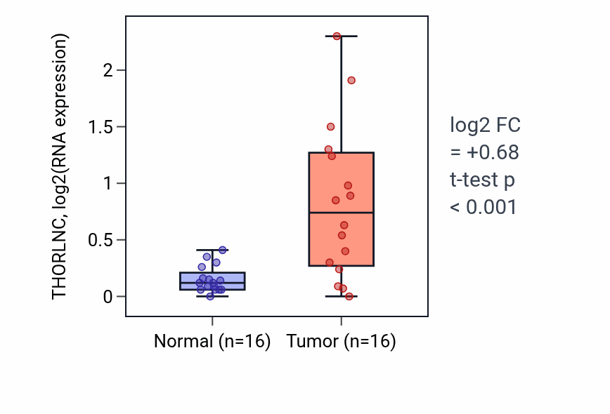 Tumor-vs-normal expression box plot for THORLNC in HNSC.
