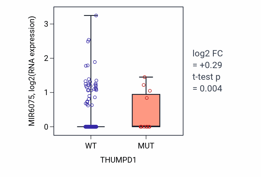 Box plot of MIR6075 in THUMPD1-low vs THUMPD1-high samples in UCEC.