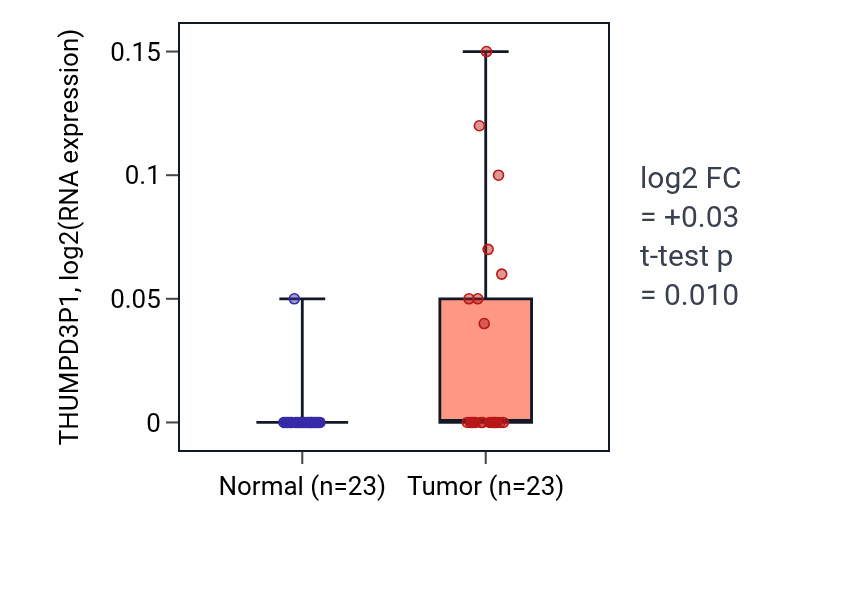 Tumor-vs-normal expression box plot for THUMPD3P1 in LUSC.