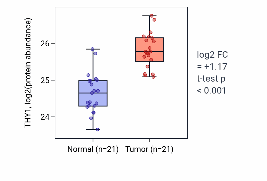 Tumor-vs-normal mass-spec protein box plot for THY1 in HNSC.