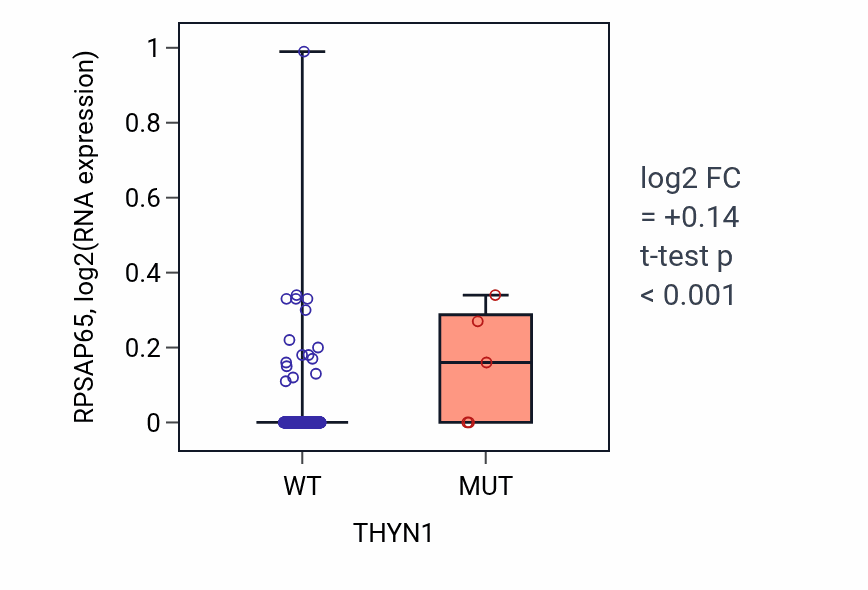 Box plot of RPSAP65 in THYN1-low vs THYN1-high samples in COAD.