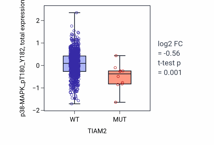 Box plot of p38-MAPK_pT180_Y182 in TIAM2-low vs TIAM2-high samples in BRCA.