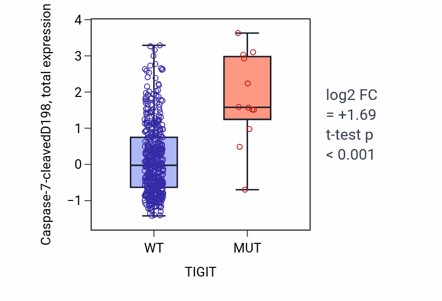 Box plot of Caspase-7-cleavedD198 in TIGIT-low vs TIGIT-high samples in UCEC.