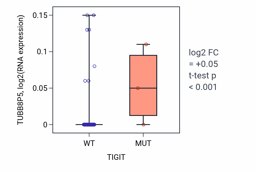 Box plot of TUBB8P5 in TIGIT-low vs TIGIT-high samples in READ.