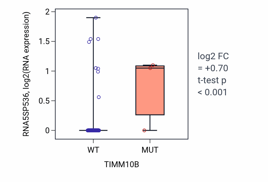 Box plot of RNA5SP536 in TIMM10B-low vs TIMM10B-high samples in UCEC.