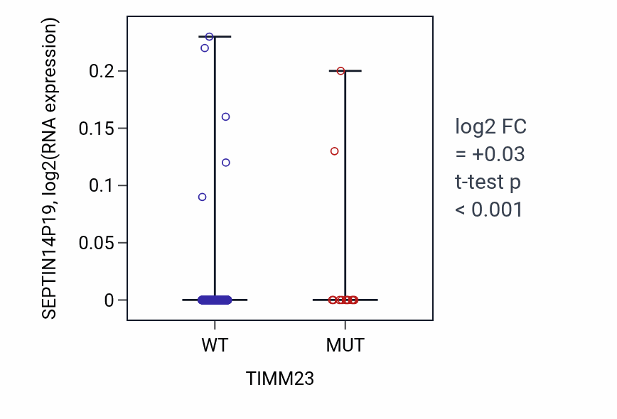 Box plot of SEPTIN14P19 in TIMM23-low vs TIMM23-high samples in UCEC.