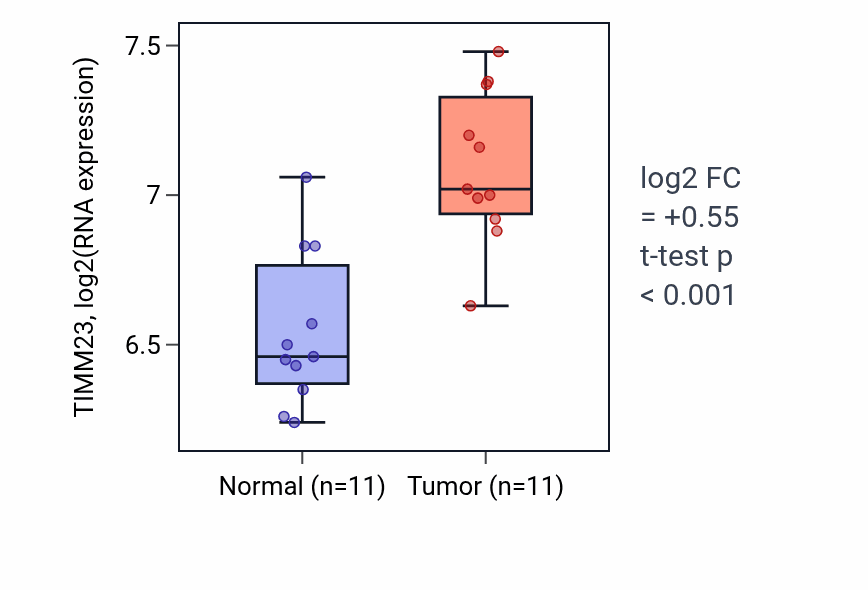Tumor-vs-normal expression box plot for TIMM23 RNA in HNSC.