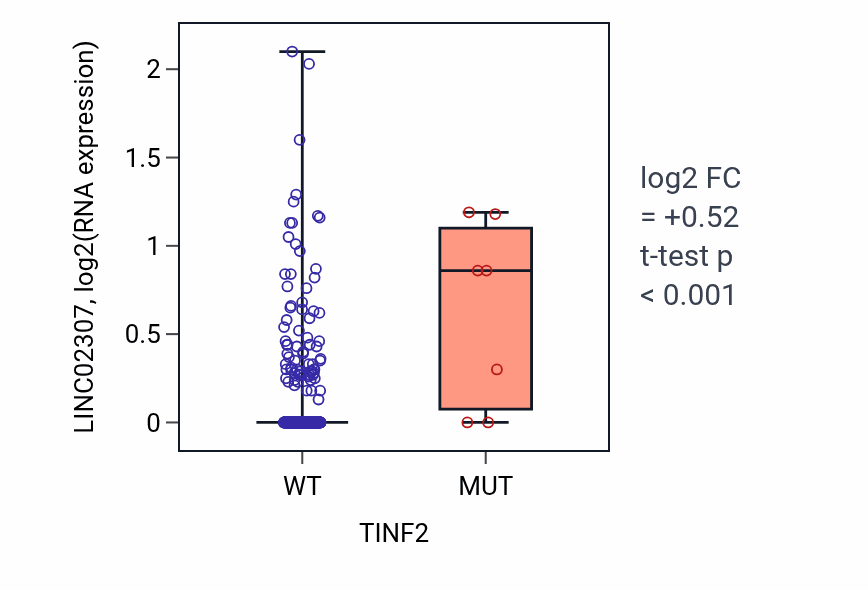 Box plot of LINC02307 in TINF2-low vs TINF2-high samples in BLCA.