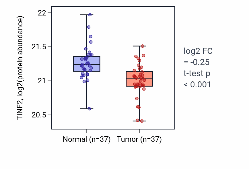 Tumor-vs-normal mass-spec protein box plot for TINF2 in LUAD.