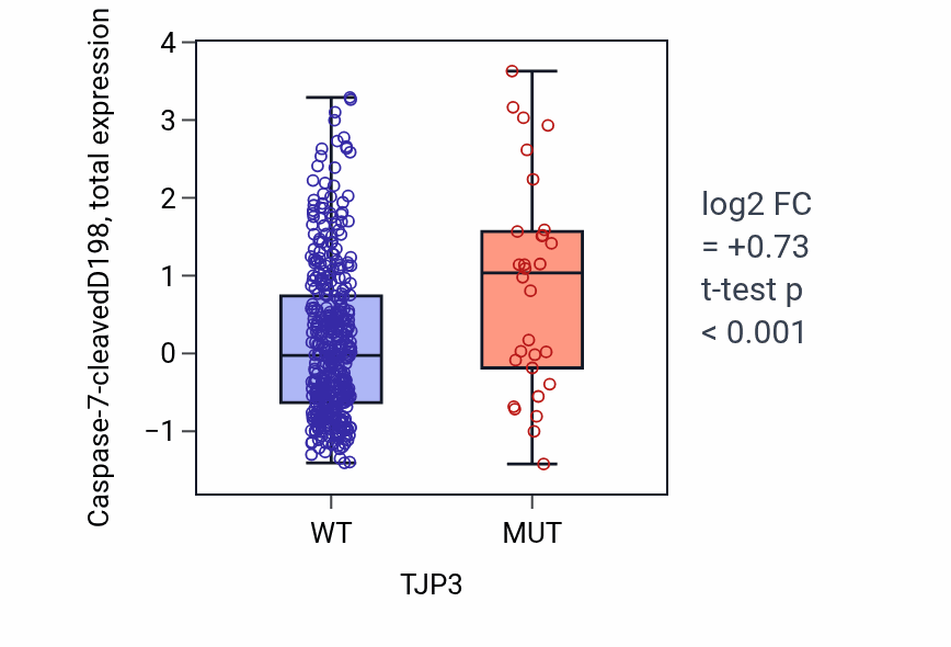 Box plot of Caspase-7-cleavedD198 in TJP3-low vs TJP3-high samples in UCEC.