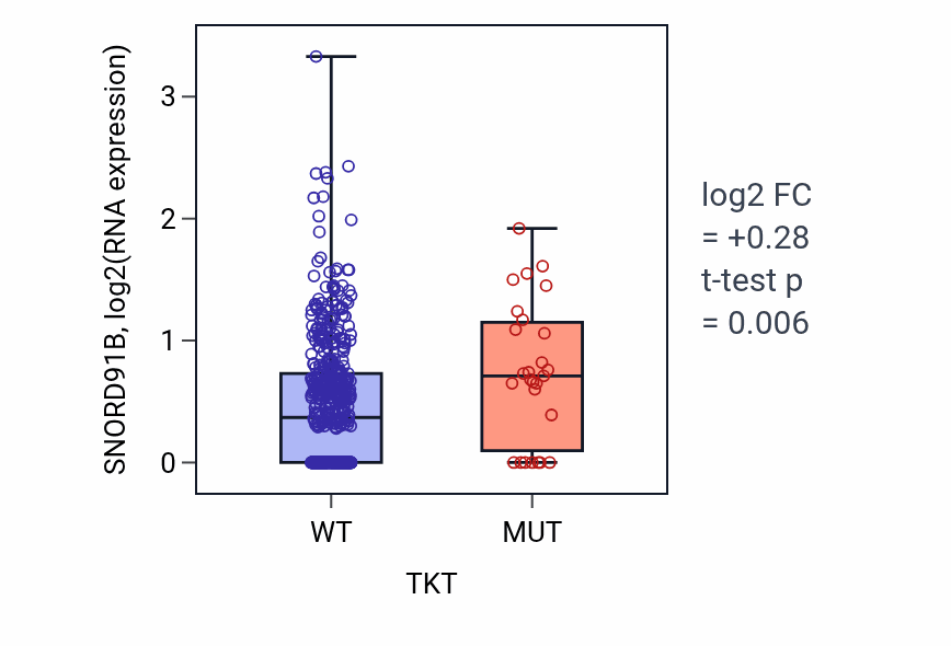 Box plot of SNORD91B in TKT-low vs TKT-high samples in UCEC.