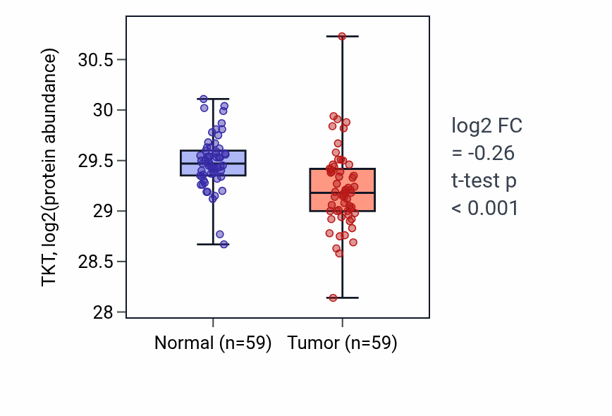 Tumor-vs-normal mass-spec protein box plot for TKT in HNSC.