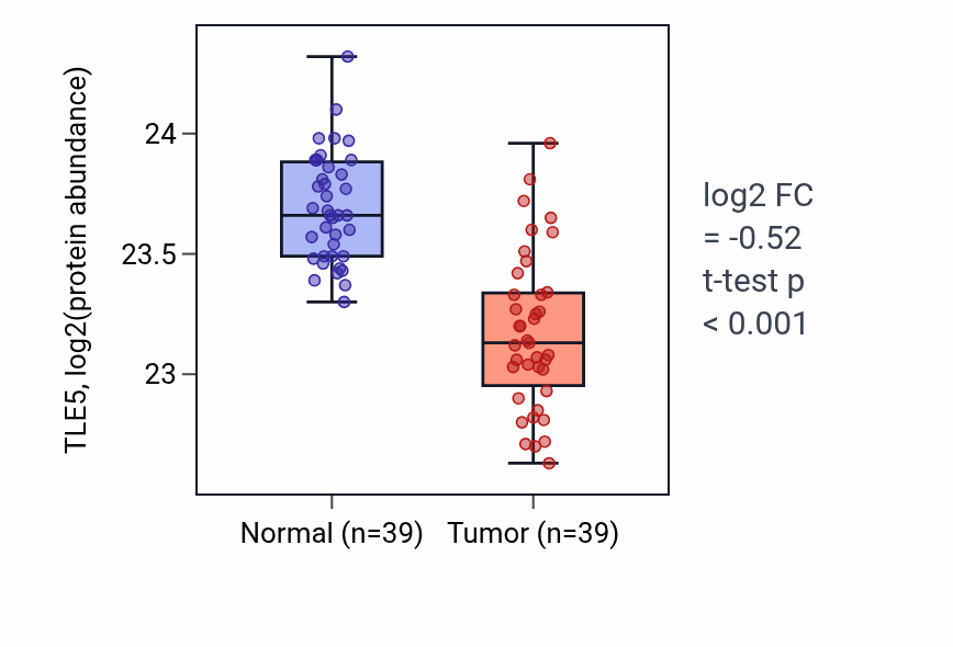 Tumor-vs-normal mass-spec protein box plot for TLE5 in HNSC.