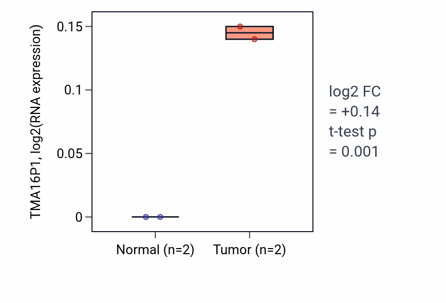 Tumor-vs-normal expression box plot for TMA16P1 in READ.