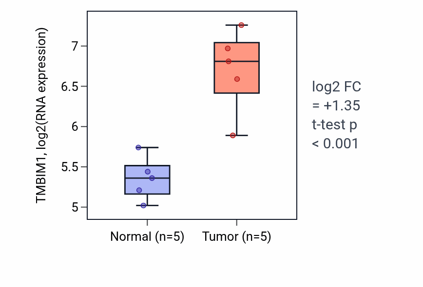 Tumor-vs-normal expression box plot for TMBIM1 RNA in LIHC.
