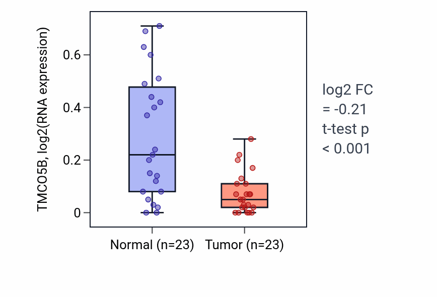 Tumor-vs-normal expression box plot for TMCO5B in THCA.
