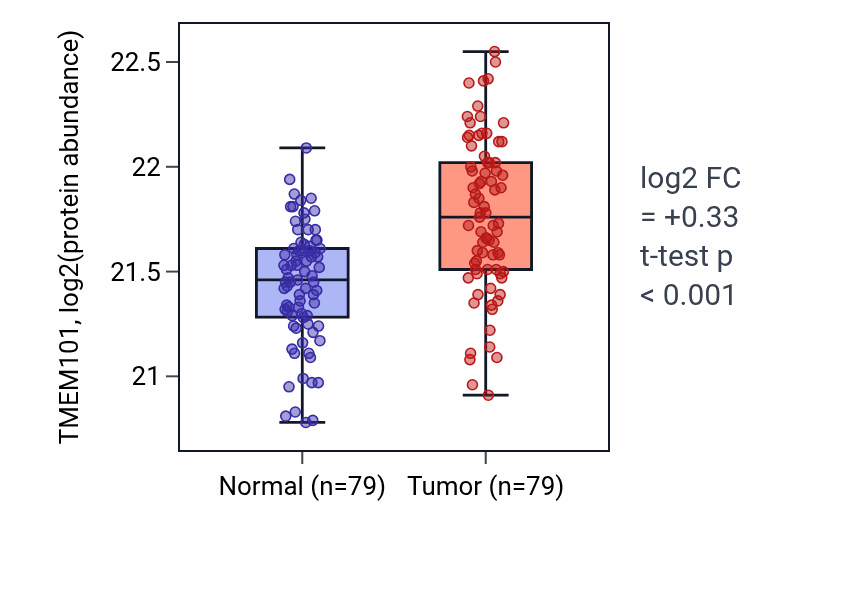 Tumor-vs-normal mass-spec protein box plot for TMEM101 in LSCC.