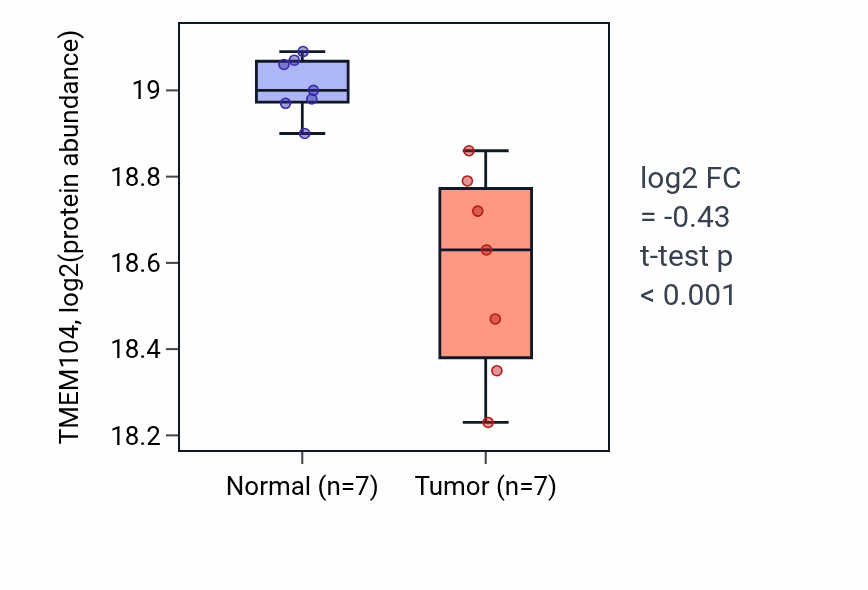 Tumor-vs-normal mass-spec protein box plot for TMEM104 in LUAD.