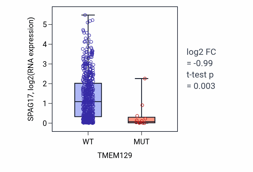 Box plot of SPAG17 in TMEM129-low vs TMEM129-high samples in UCEC.