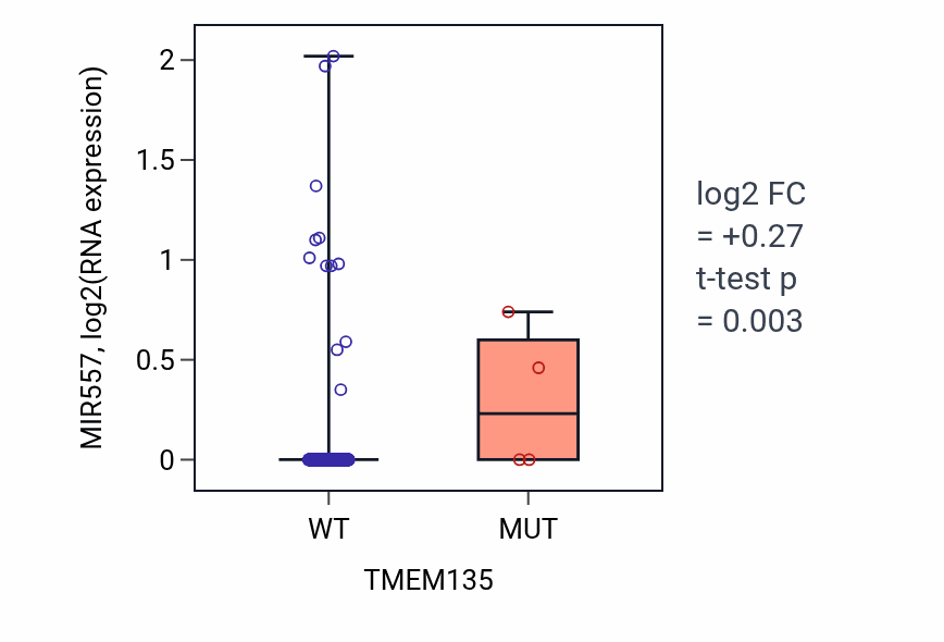 Box plot of MIR557 in TMEM135-low vs TMEM135-high samples in LUAD.