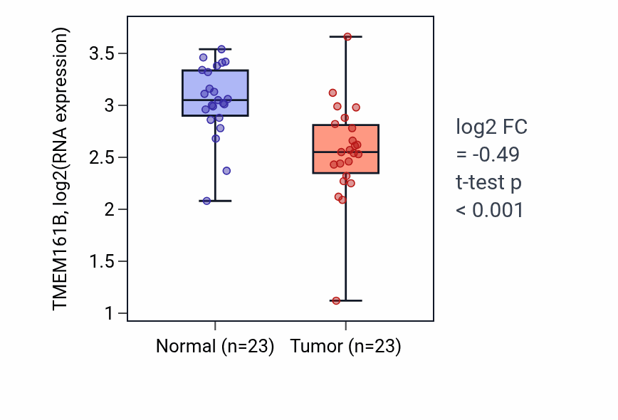 Tumor-vs-normal expression box plot for TMEM161B RNA in THCA.
