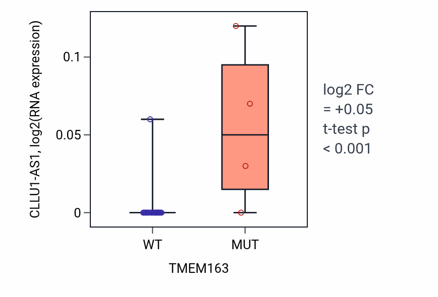Box plot of CLLU1-AS1 in TMEM163-low vs TMEM163-high samples in LUNG_NSCLC_LUSC.