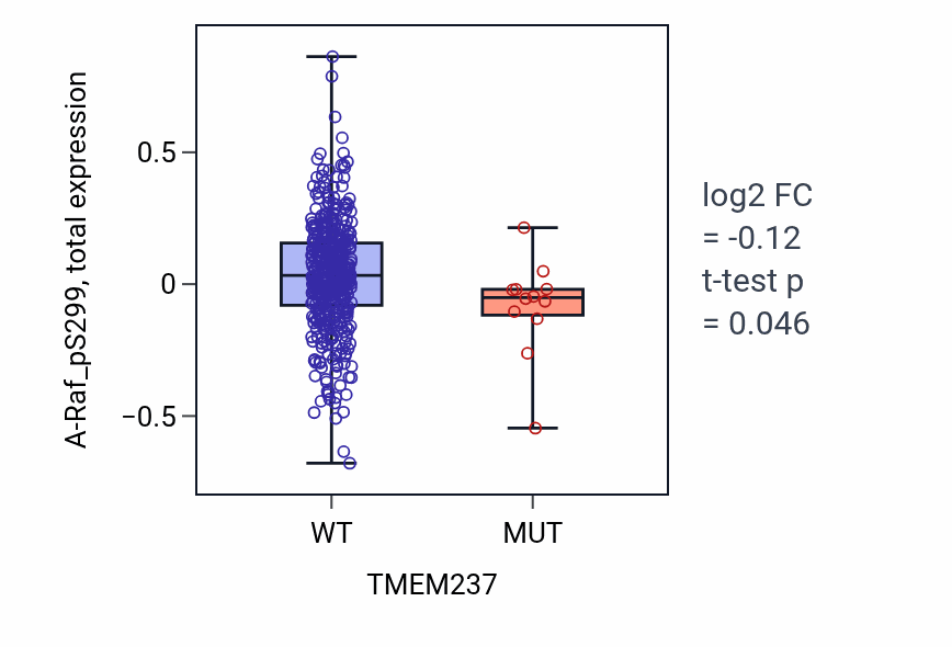 Box plot of A-Raf_pS299 in TMEM237-low vs TMEM237-high samples in UCEC.